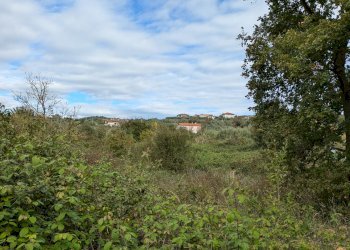 Agricultural land Isernia - photo 9