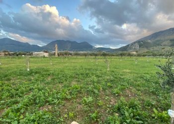 Terreno - Rustico via Angelo Morello, Carini - foto 8