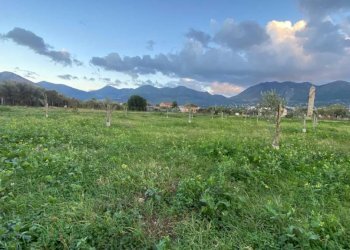 Terreno - Rustico via Angelo Morello, Carini - foto 10