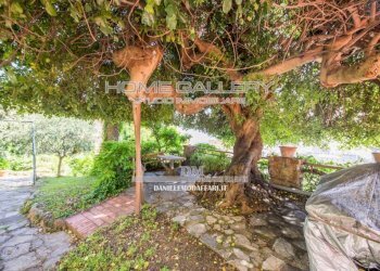 Giardino - Villa via Giovanni Battista Niccolini, Genova - foto 24