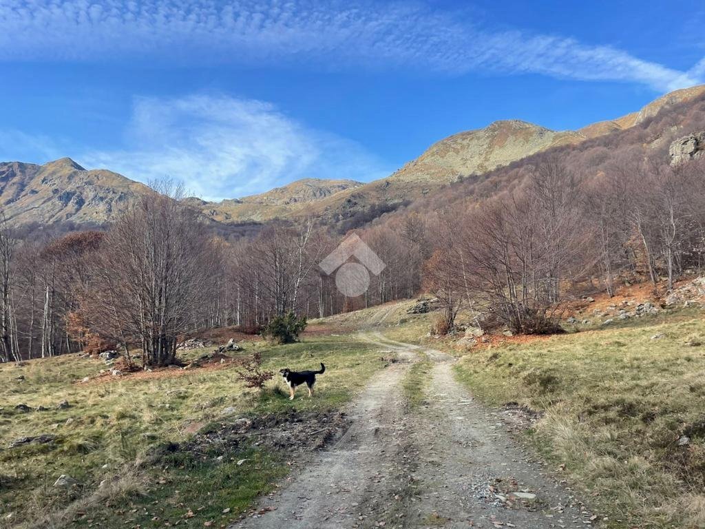Terreno agricolo Frazione asciutti, Viù - foto 2