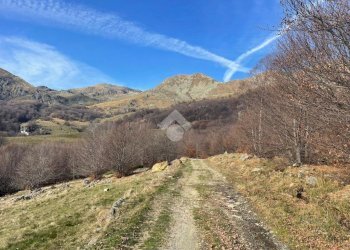 Terreno agricolo Frazione asciutti, Viù - foto 3