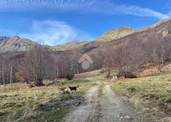 Terreno agricolo Frazione asciutti, Viù - foto 2