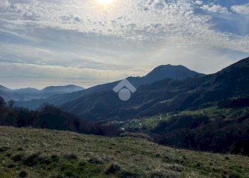Terreno agricolo Frazione asciutti, Viù - foto 4