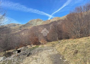 Terreno agricolo Frazione asciutti, Viù - foto 8
