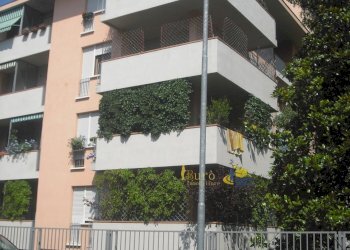 CIMG3246.JPG - Ufficio Via Duccio Galimberti 16, Parma - foto 3