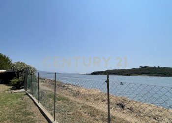 IMG_5399.jpg - Terreno agricolo Strada Provinciale della Giannella, Orbetello - foto 4