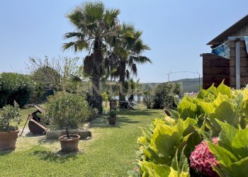 IMG_5408.jpg - Terreno agricolo Strada Provinciale della Giannella, Orbetello - foto 5