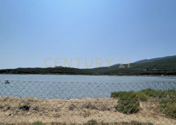 IMG_5400.jpg - Terreno agricolo Strada Provinciale della Giannella, Orbetello - foto 6