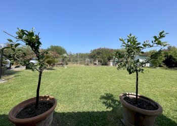 IMG_5388.jpg - Terreno agricolo Strada Provinciale della Giannella, Orbetello - foto 7