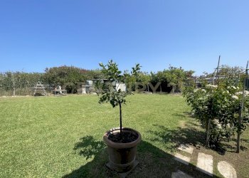 IMG_5387.jpg - Terreno agricolo Strada Provinciale della Giannella, Orbetello - foto 18