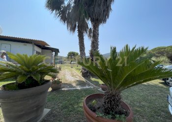 IMG_5391.jpg - Terreno agricolo Strada Provinciale della Giannella, Orbetello - foto 20