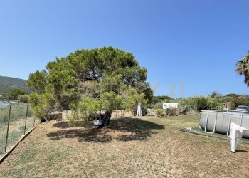 IMG_5401.jpg - Terreno agricolo Strada Provinciale della Giannella, Orbetello - foto 21