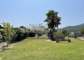 IMG_5405.jpg - Terreno agricolo Strada Provinciale della Giannella, Orbetello - foto 23