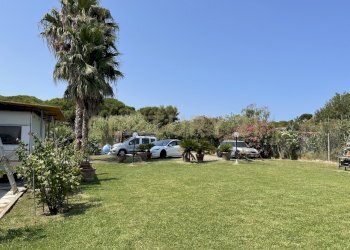 IMG_5406.jpg - Terreno agricolo Strada Provinciale della Giannella, Orbetello - foto 24