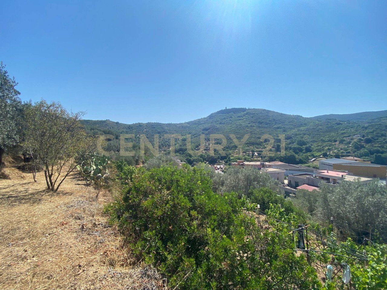 20220120182605-634898-13.jpg - Rustico Via del Campone 68A, Monte Argentario - foto 2