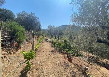 20220120182611-634898-14.jpg - Rustico Via del Campone 68A, Monte Argentario - foto 1