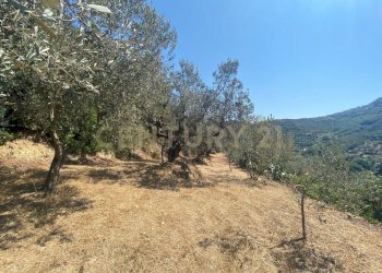 20220120182551-634898-11.jpg - Rustico Via del Campone 68A, Monte Argentario - foto 4