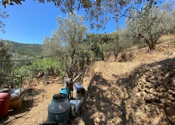 20220120182543-634898-10.jpg - Rustico Via del Campone 68A, Monte Argentario - foto 5