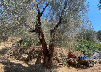 20220120182534-634898-9.jpg - Rustico Via del Campone 68A, Monte Argentario - foto 6