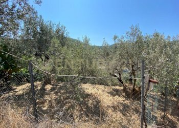 20220120182517-634898-5.jpg - Rustico Via del Campone 68A, Monte Argentario - foto 10