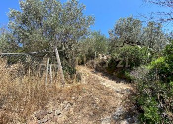 20220120182455-634898-2.jpg - Rustico Via del Campone 68A, Monte Argentario - foto 13