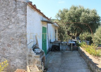 20220728122553-686355-16.jpg - Rustico via cannatelli 56, Monte Argentario - foto 4