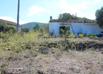 20220728122325-686355-24.jpg - Rustico via cannatelli 56, Monte Argentario - foto 5