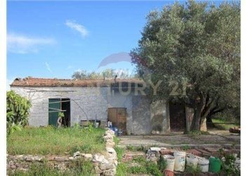 20220728121929-686355-18.jpg - Rustico via cannatelli 56, Monte Argentario - foto 12