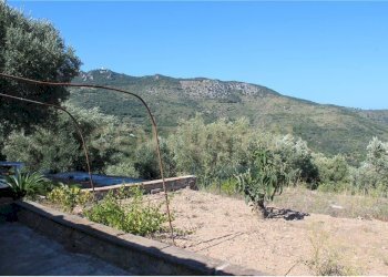 20220728121929-686355-3.jpg - Rustico via cannatelli 56, Monte Argentario - foto 13