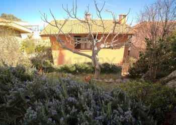 20230726182605-779885-9.jpg - Appartamento Via dell'Arenella, Isola del Giglio - foto 18