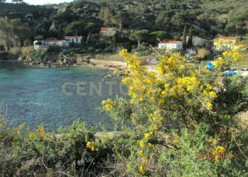 20230726182552-779885-3.jpg - Appartamento Via dell'Arenella, Isola del Giglio - foto 24