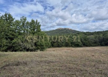 terreno con vista paese.jpg - Terreno agricolo località la vena snc, Civitella Paganico - foto 1