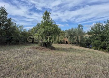 terreno con annesso.jpg - Terreno agricolo località la vena snc, Civitella Paganico - foto 2