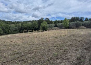 terreno .jpg - Terreno agricolo località la vena snc, Civitella Paganico - foto 3