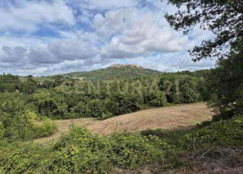 posizione panoramica 2.jpeg - Terreno agricolo località la vena snc, Civitella Paganico - foto 4