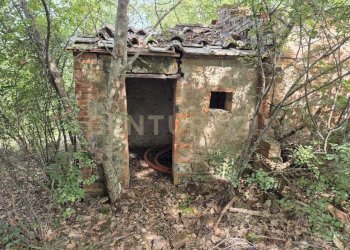 annesso 2.jpeg - Terreno agricolo località la vena snc, Civitella Paganico - foto 6
