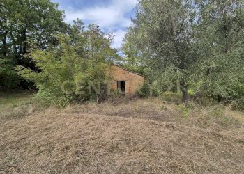 annesso diruto.jpg - Terreno agricolo località la vena snc, Civitella Paganico - foto 7