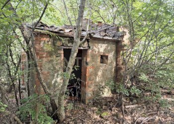 annesso.jpeg - Terreno agricolo località la vena snc, Civitella Paganico - foto 9