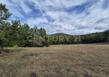 WhatsApp Image 2024-09-28 at 10.59.29 (6).jpeg - Terreno agricolo località la vena snc, Civitella Paganico - foto 11