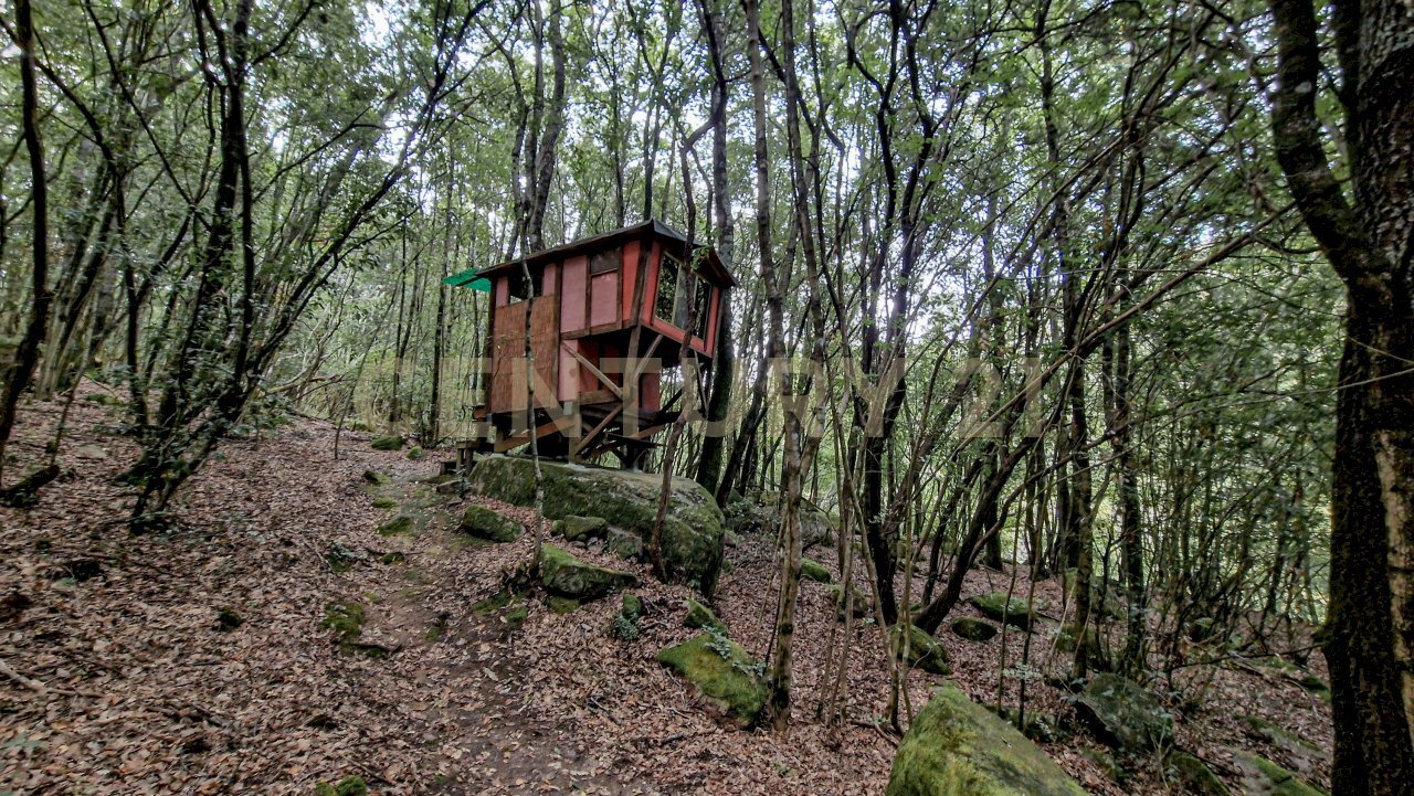 Tenuta Noccoli-03.jpg - Villa Via della Mengona 32, Roccastrada - foto 2