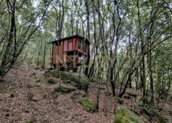 Tenuta Noccoli-03.jpg - Villa Via della Mengona 32, Roccastrada - foto 2