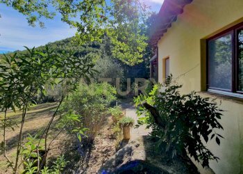 Tenuta Noccoli-33.jpg - Villa Via della Mengona 32, Roccastrada - foto 5