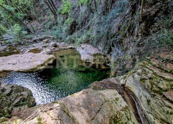 Tenuta Noccoli-11.jpg - Villa Via della Mengona 32, Roccastrada - foto 6