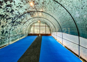 Tenuta Noccoli-08.jpg - Villa Via della Mengona 32, Roccastrada - foto 9