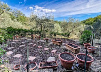 Tenuta Noccoli-29.jpg - Villa Via della Mengona 32, Roccastrada - foto 17