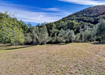 Tenuta Noccoli-21.jpg - Villa Via della Mengona 32, Roccastrada - foto 27