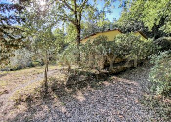 Tenuta Noccoli-28.jpg - Villa Via della Mengona 32, Roccastrada - foto 28