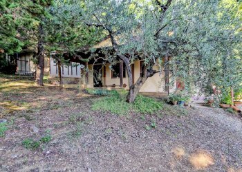 Tenuta Noccoli-30.jpg - Villa Via della Mengona 32, Roccastrada - foto 29