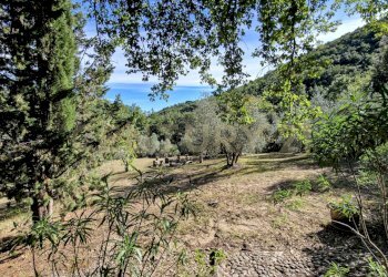 Tenuta Noccoli-34.jpg - Villa Via della Mengona 32, Roccastrada - foto 30